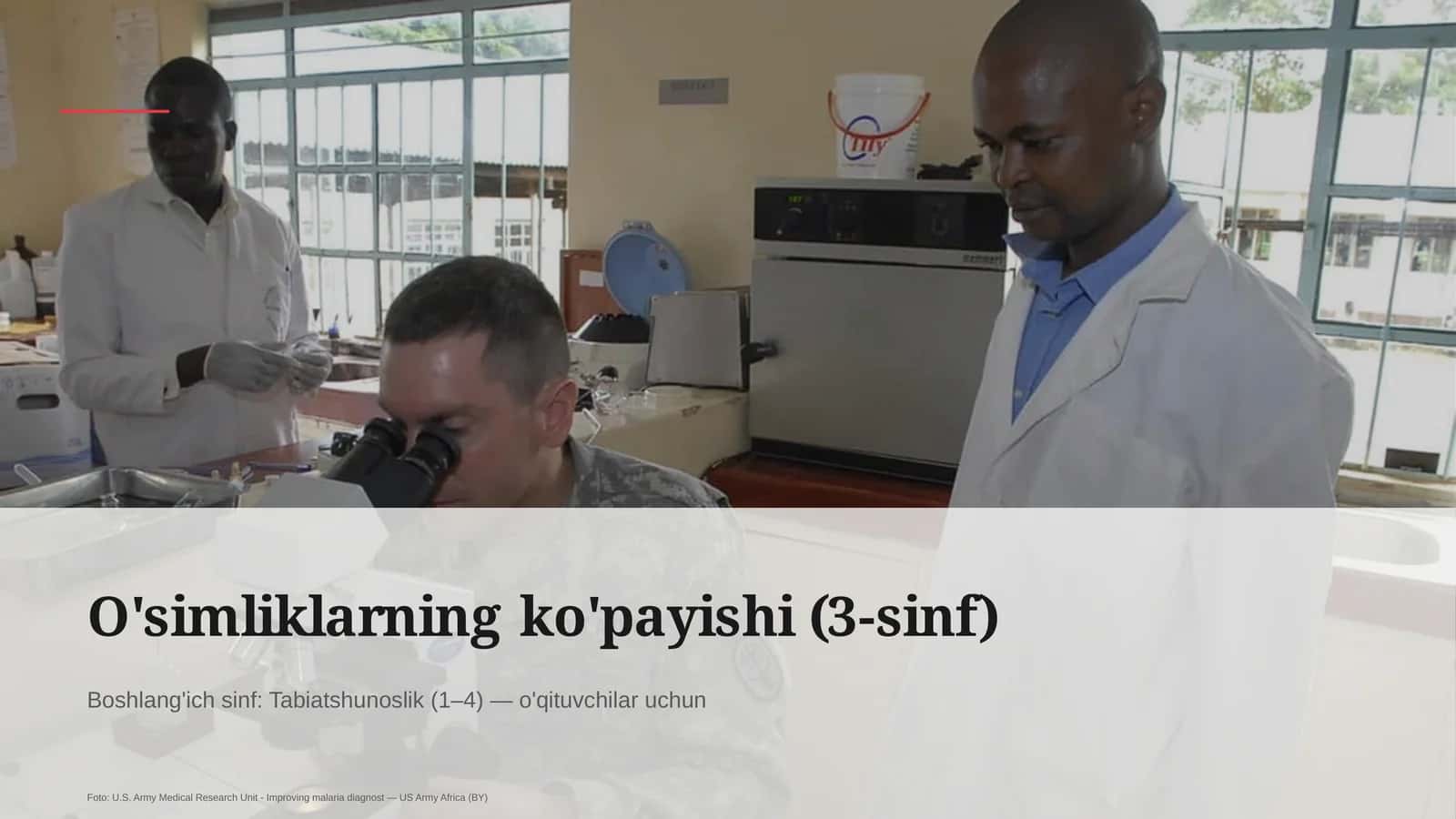 O'simliklarning ko'payishi (3-sinf) 1