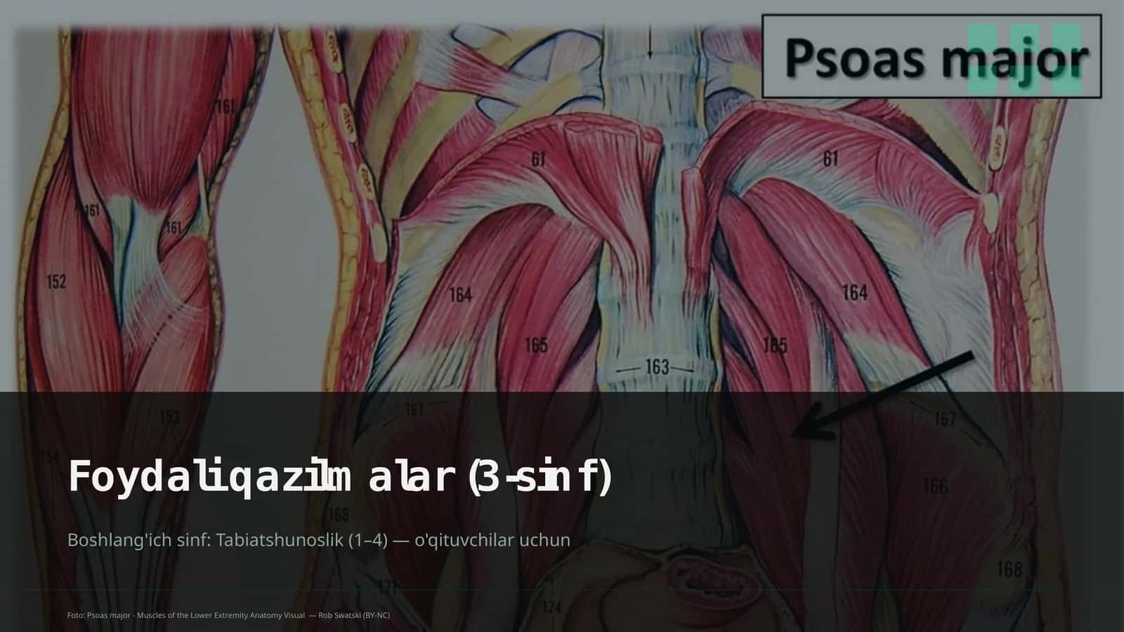 Foydali qazilmalar (3-sinf) 1