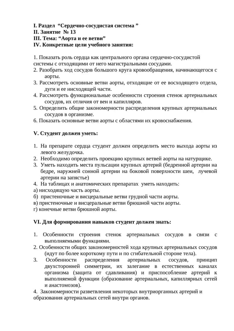 Аорта и ее ветви 1