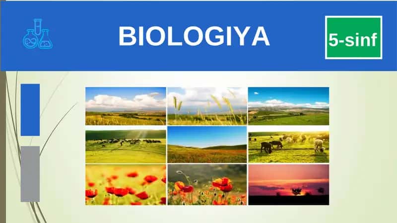 BIOLOGIYA 5-sinf MUSTAHKAMLASH 1