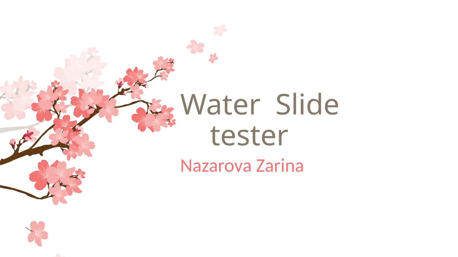 Water Slide Tester 1