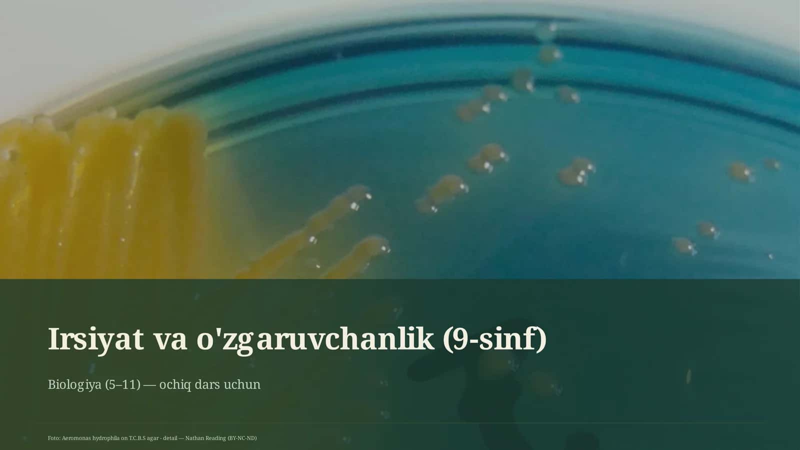 Irsiyat va o'zgaruvchanlik (9-sinf) 1