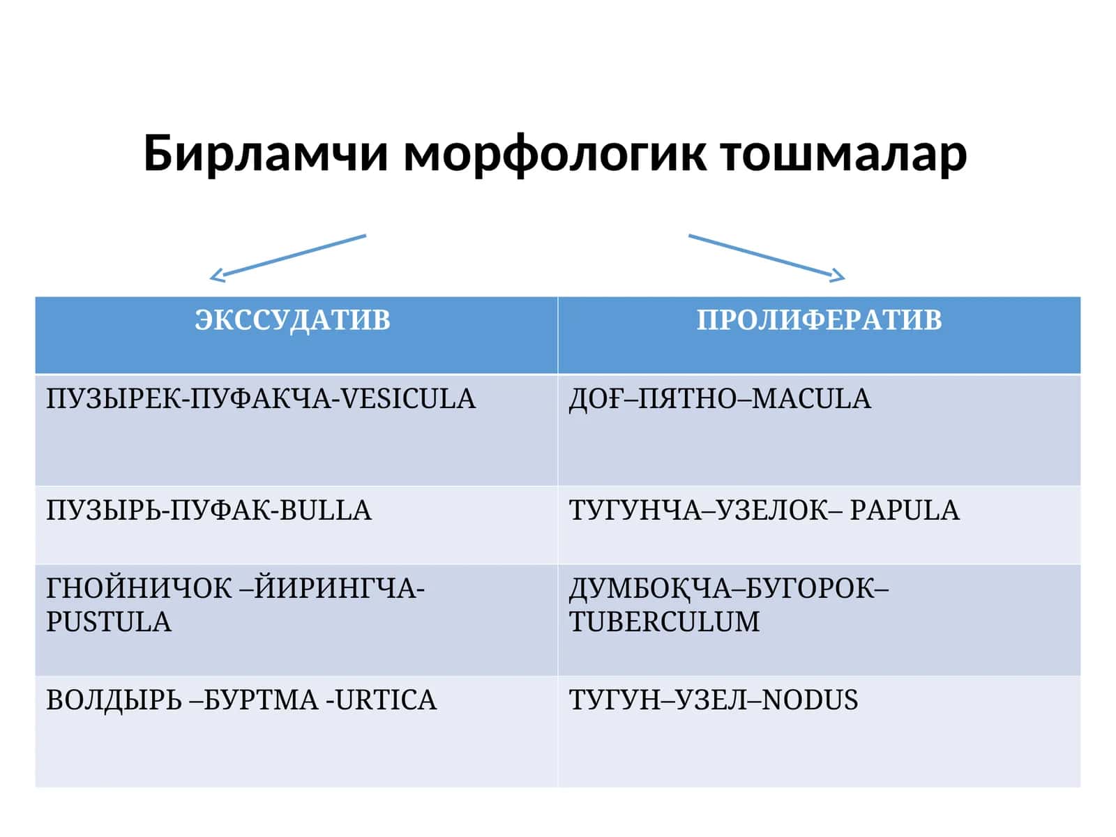 Доғ (macula) 1