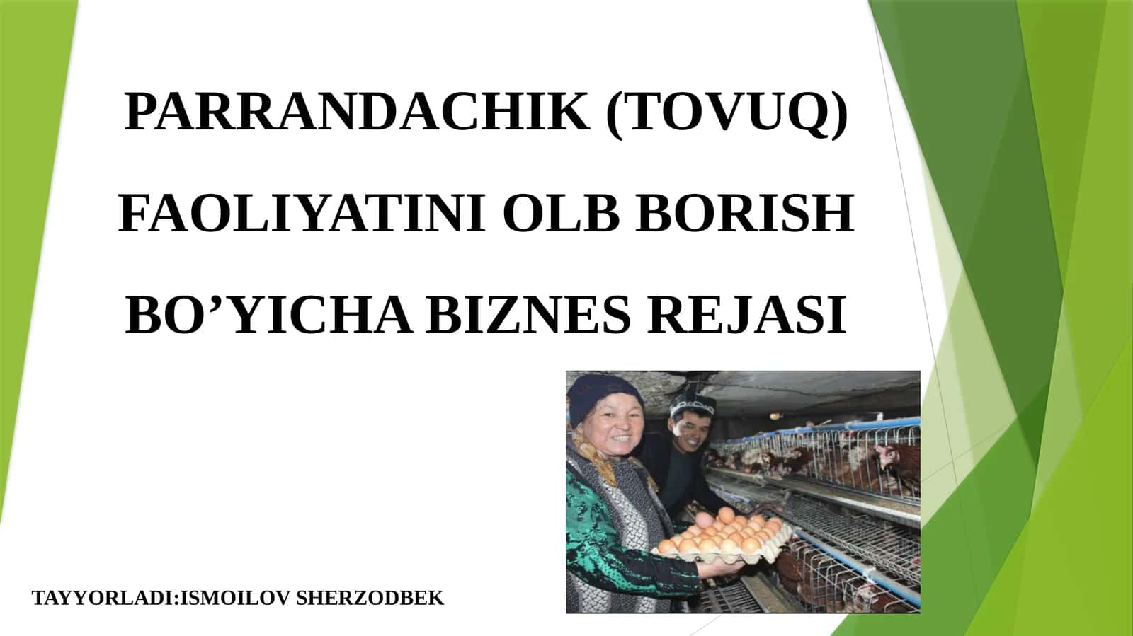 PARRANDACHIK (TOVUQ) FAOLIYATINI OLB BORISH BO’YICHA BIZNES REJASI 1