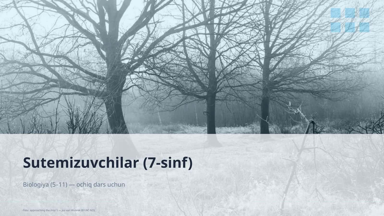 Sutemizuvchilar (7-sinf) 1