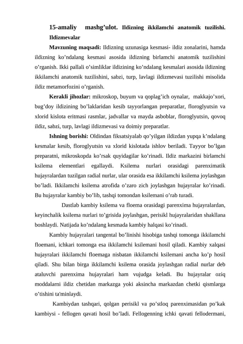 Ildizning ikkilamchi anatomik tuzilishi 1