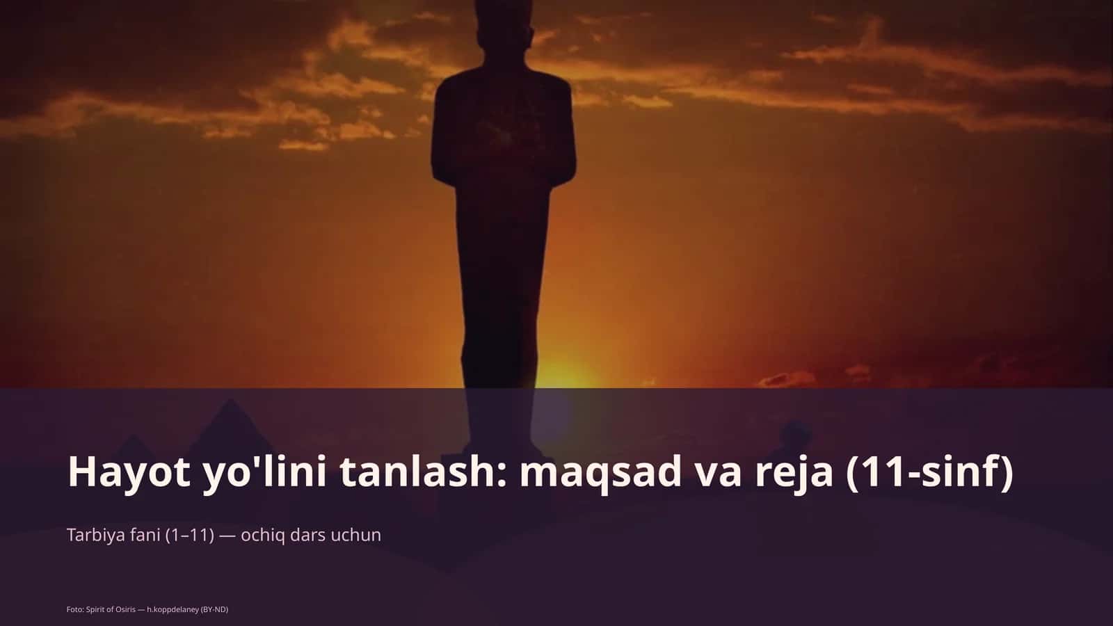 Hayot yo'lini tanlash: maqsad va reja (11-sinf) 1