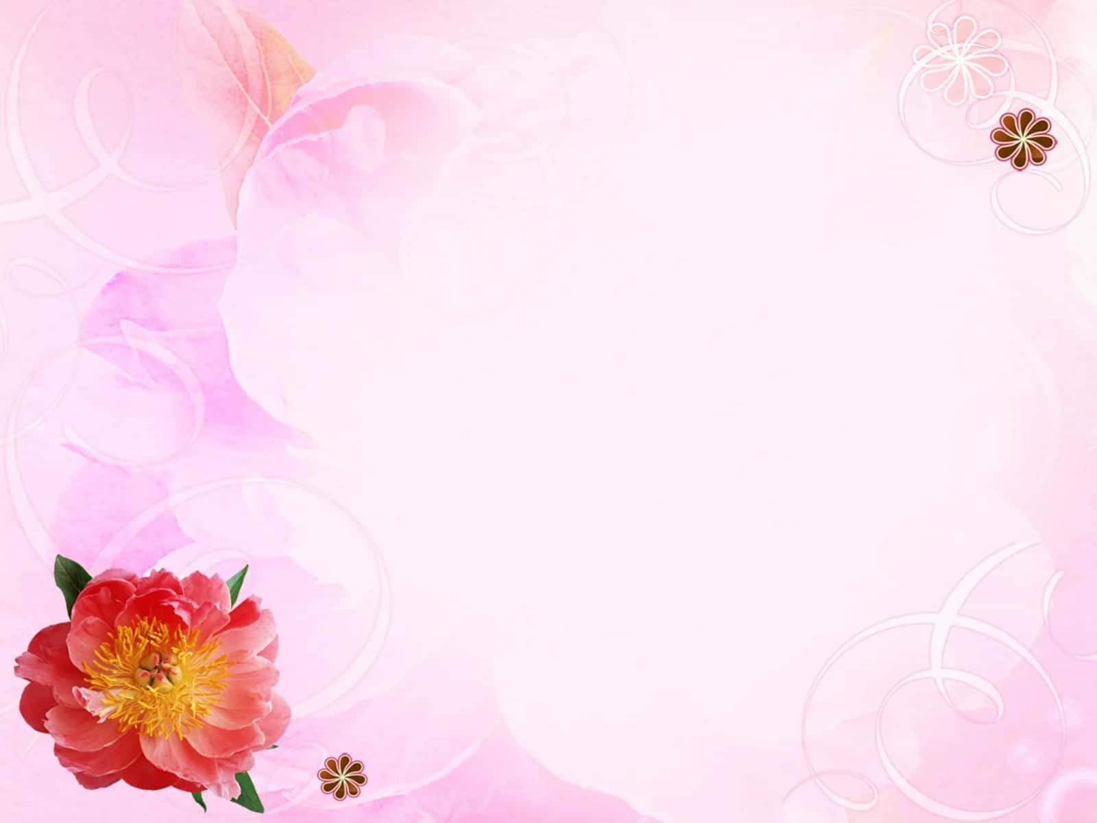 Botanika va geobotanika asoslari 1