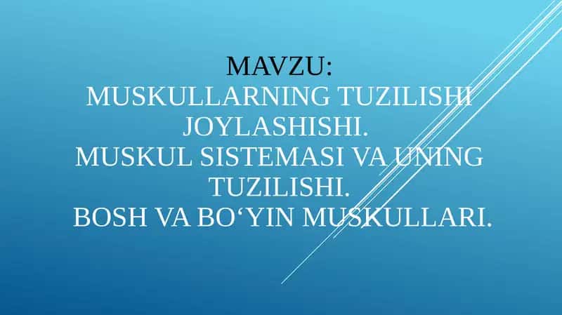 Muskullarning tuzilishi 1