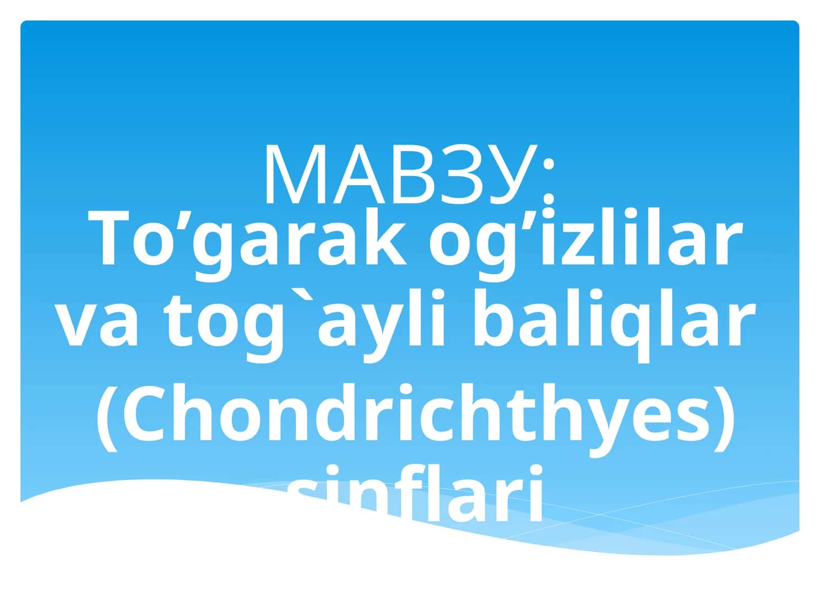 Тo’garak og’izlilar va tog`aylibaliqlar (Chondrichthyes) sinflari 1