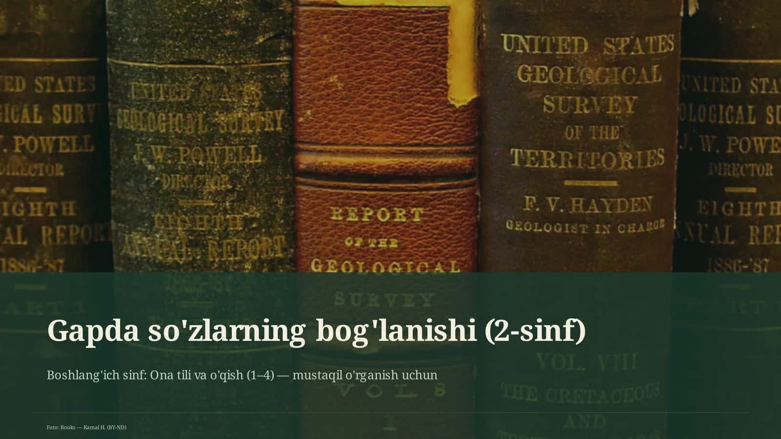 Gapda so'zlarning bog'lanishi (2-sinf) 1