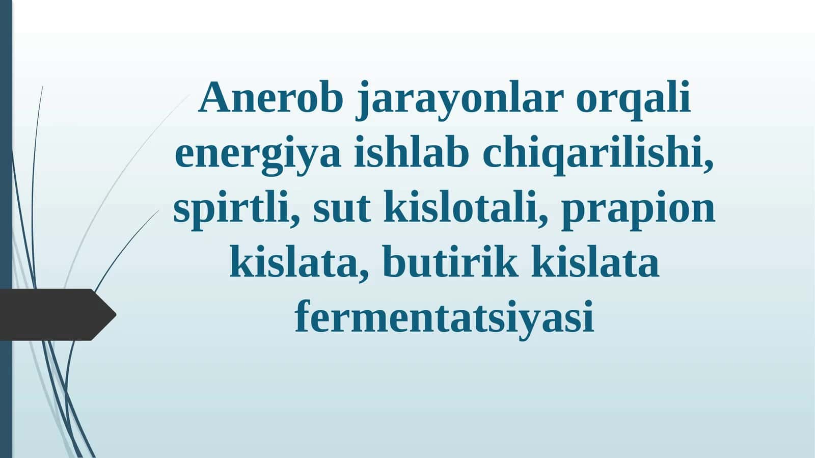 Anerobjarayonlar orqali energiya ishlab chiqarilishi 1