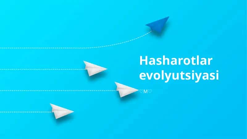 Hasharotlar evolyutsiyasi 1