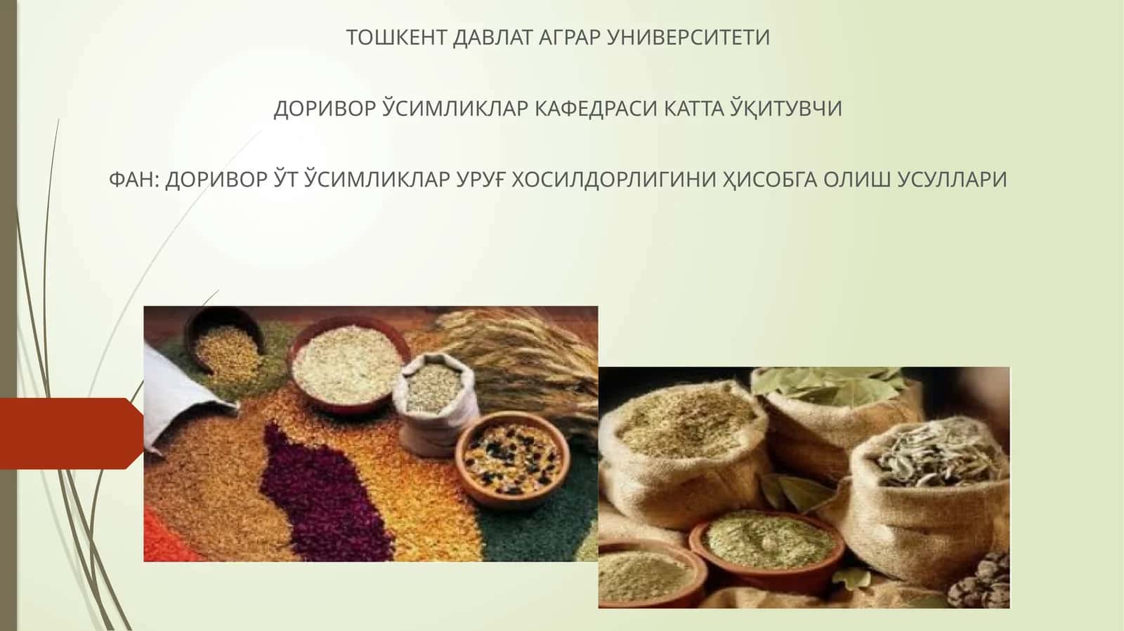 Табиий вегетатив кўпайиш 1