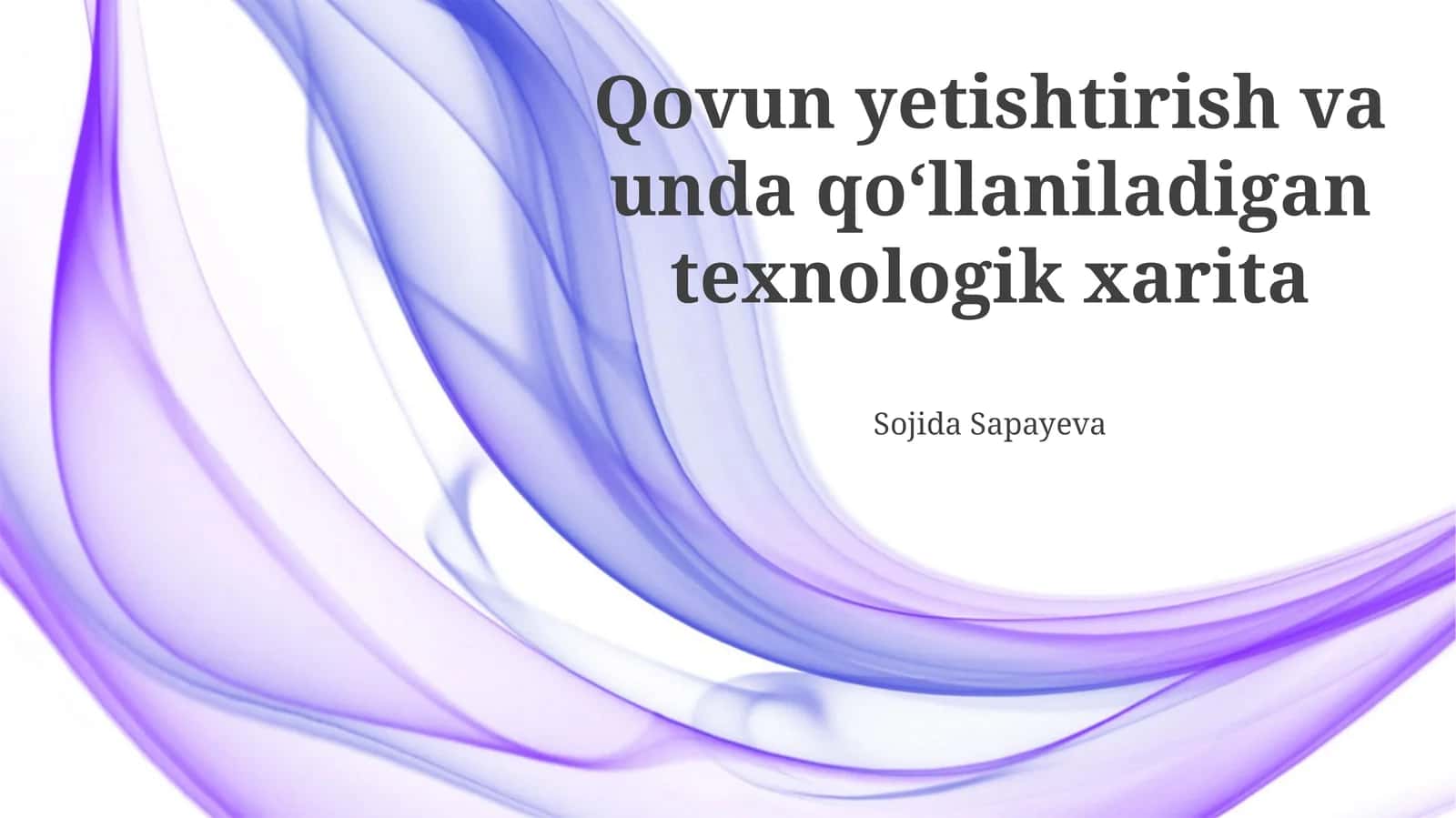 Melon sanoatining kelajak yo'l xaritasi 1