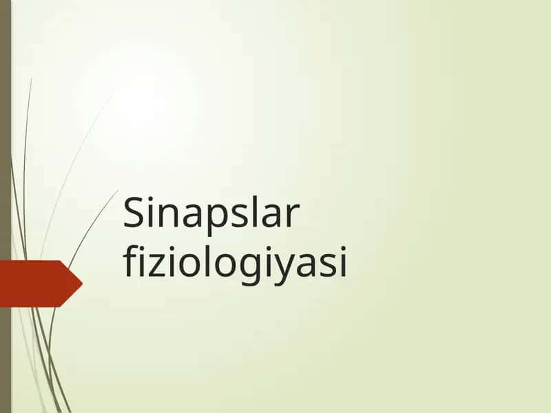 Sinapslar fiziologiyasi 1