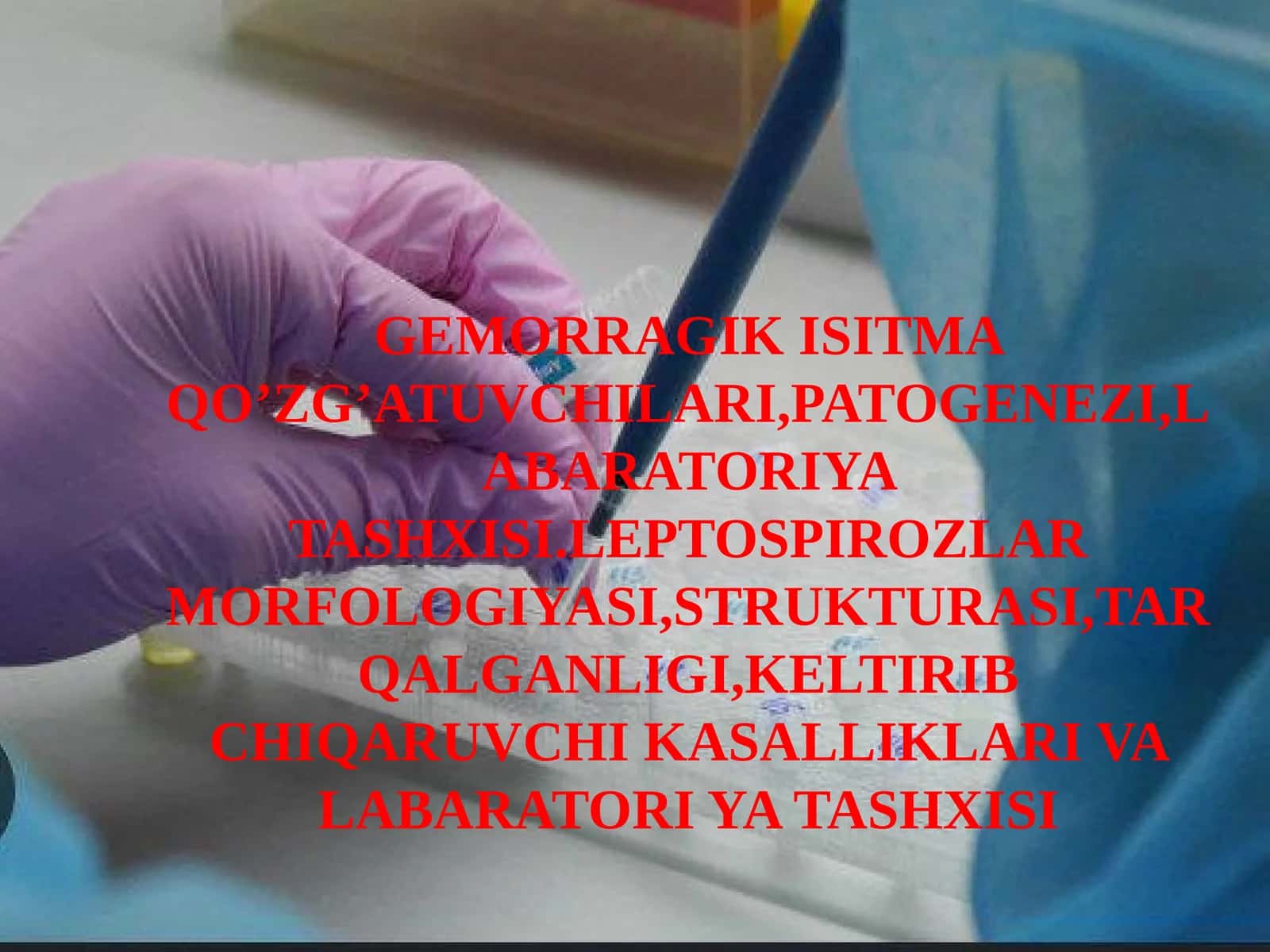 GEMORRAGIK ISITMA QO’ZG’ATUVCHILARI,PATOGENEZI,LABARATORIYA TASHXISI.LEPTOSPIROZLAR MORFOLOGIYASI,STRUKTURASI,TARQALGANLIGI,KELTIRIB CHIQARUVCHI KASALLIKLARI VA LABARATORI YA TASHXISI 1