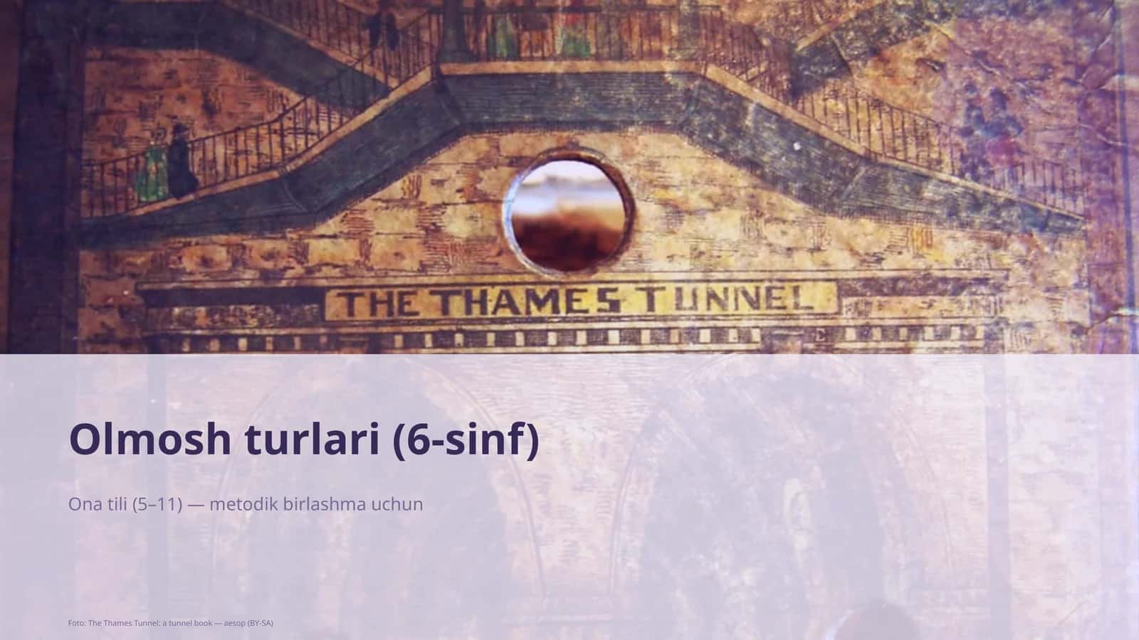Olmosh turlari (6-sinf) 1