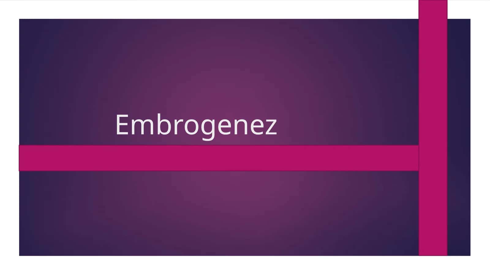 Embrogenez 1