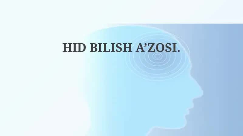 Ta'm Bilish Organining Tuzilishi va Fiziologiyasi 1
