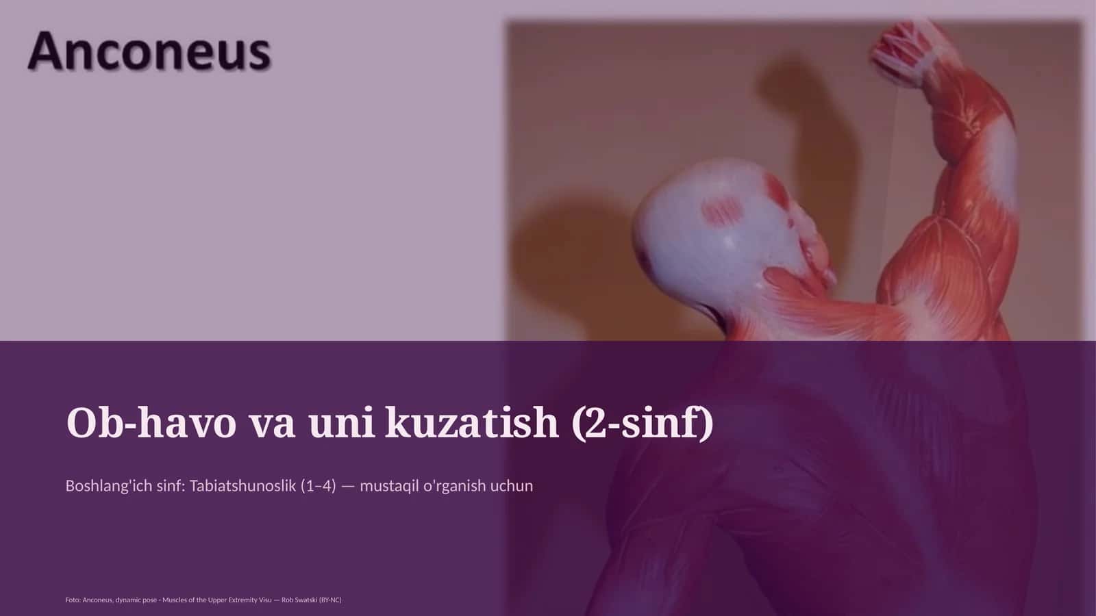 Ob-havo va uni kuzatish (2-sinf) 1