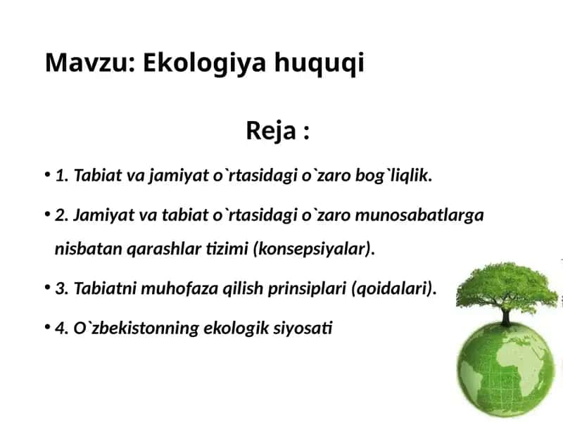 Ekologiya muammosi 1