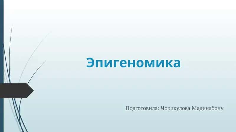 Эпигеномика 1
