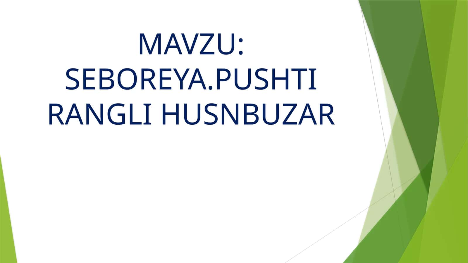 SEBOREYA.PUSHTI RANGLI HUSNBUZAR 1