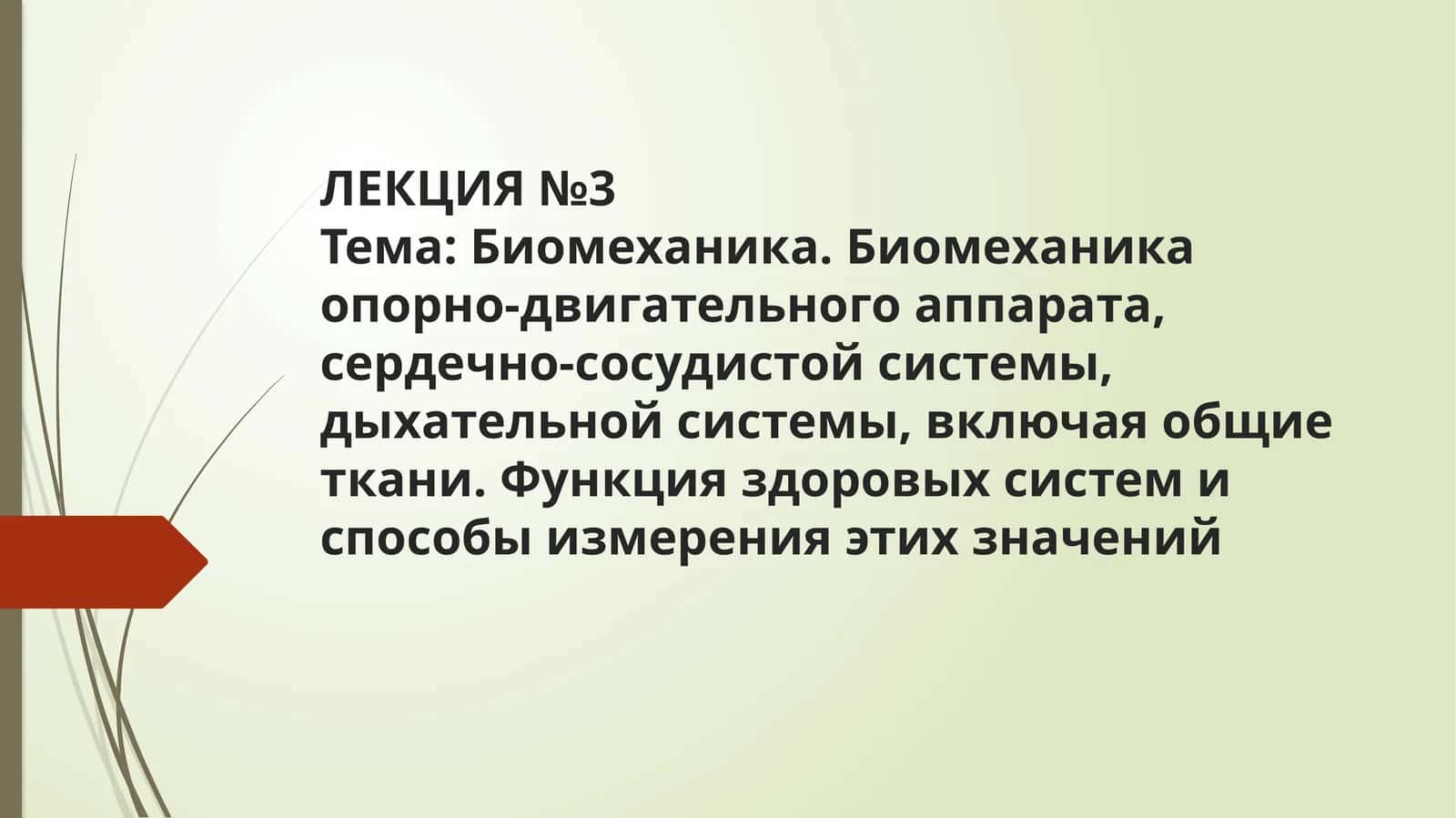ЛЕКЦИЯ№3Тема: Биомеханика 1
