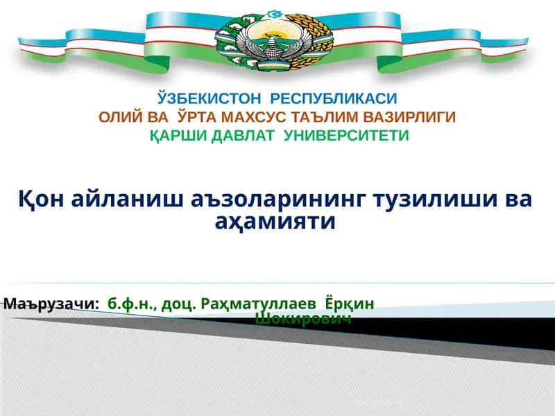 Қон айланиш аъзоларининг тузилиши ва аҳамияти 1