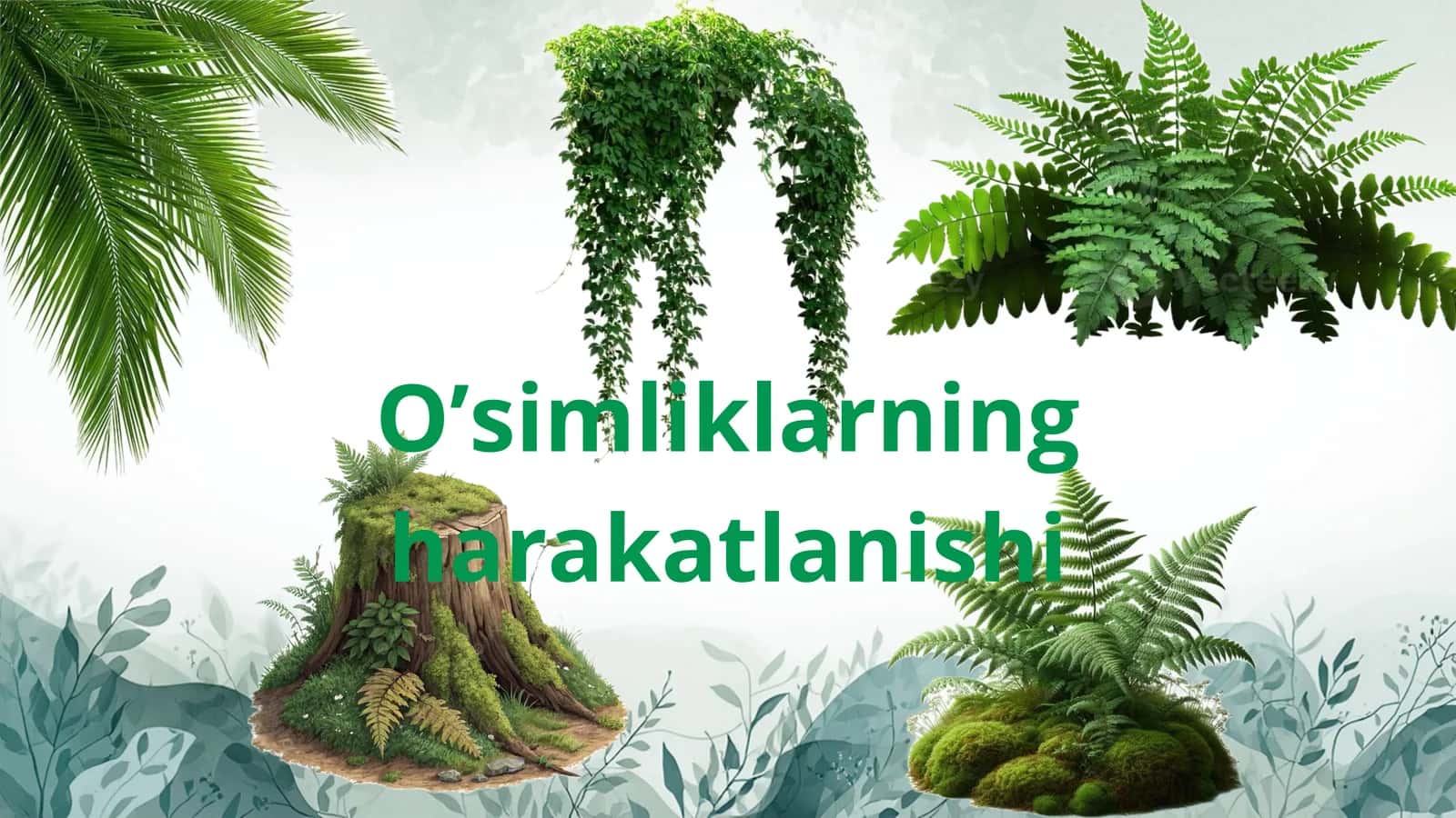 Oʻsimliklarning harakatlanishi 1