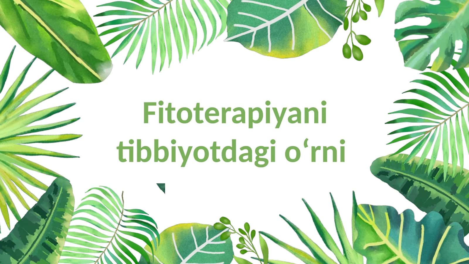 Fitoterapiyani tibbiyotdagi oʻrni 1