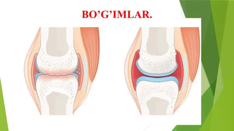 Bo'g'imlar 1