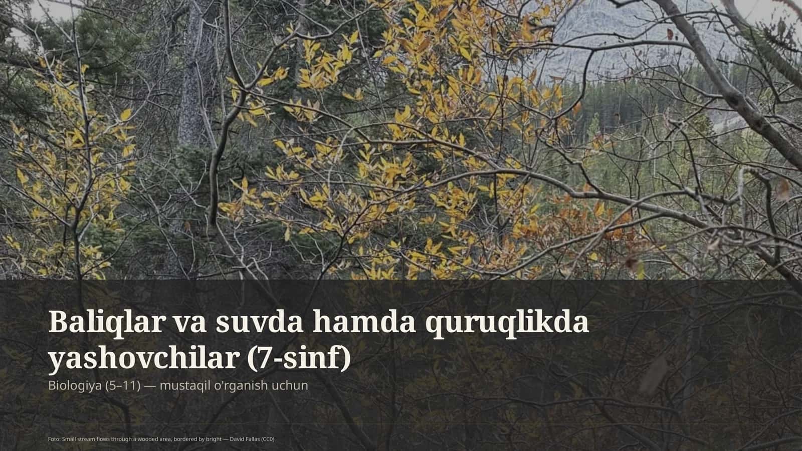 Baliqlar va suvda hamda quruqlikda yashovchilar (7-sinf) 1