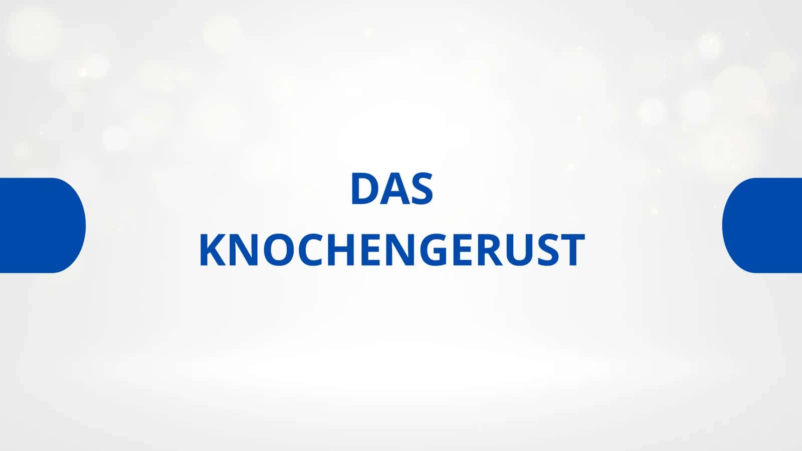 DAS KNOCHENGERUST 1