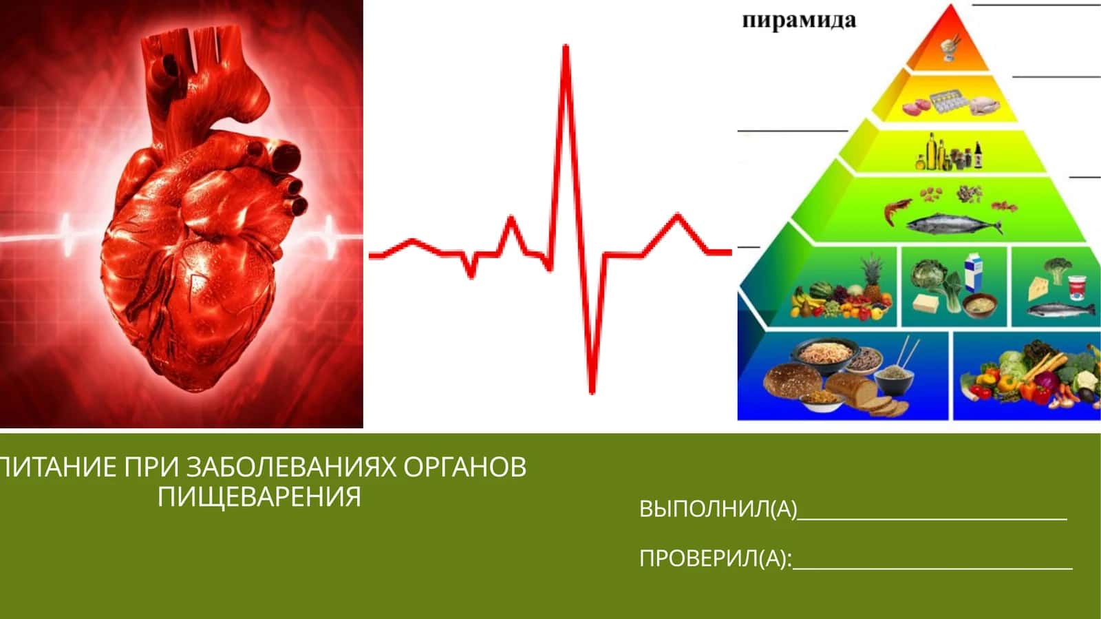 ПИТАНИЕ ПРИ ЗАБОЛЕВАНИЯХ ОРГАНОВ ПИЩЕВАРЕНИЯ 1