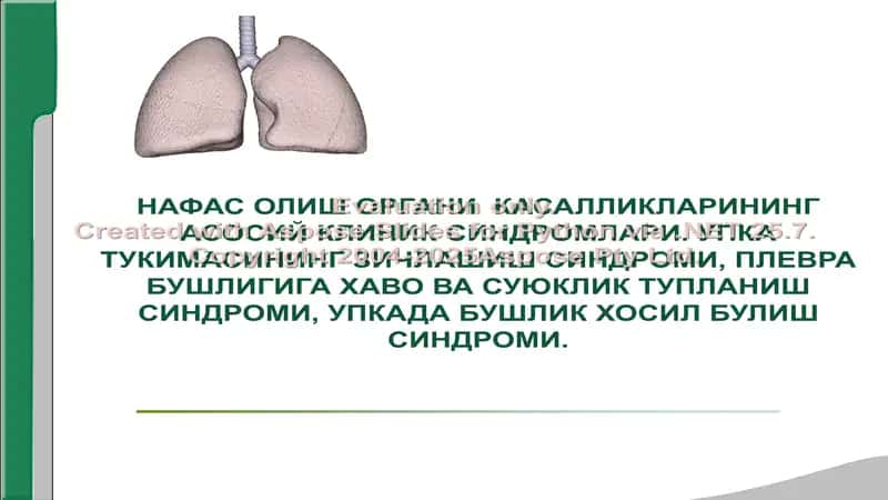 НАФАС ОЛИШ ОРГАНИ КАСАЛЛИКЛАРИНИНГ АСОСИЙ КЛИНИК СИНДРОМЛАРИ. УПКА ТУКИМАСИНИНГ ЗИЧЛАШИШ СИНДРОМИ, ПЛЕВРА БУШЛИГИГА ХАВО ВА СУЮКЛИК ТУПЛАНИШ СИНДРОМИ, УПКАДА БУШЛИК ХОСИЛ БУЛИШ СИНДРОМИ. 1