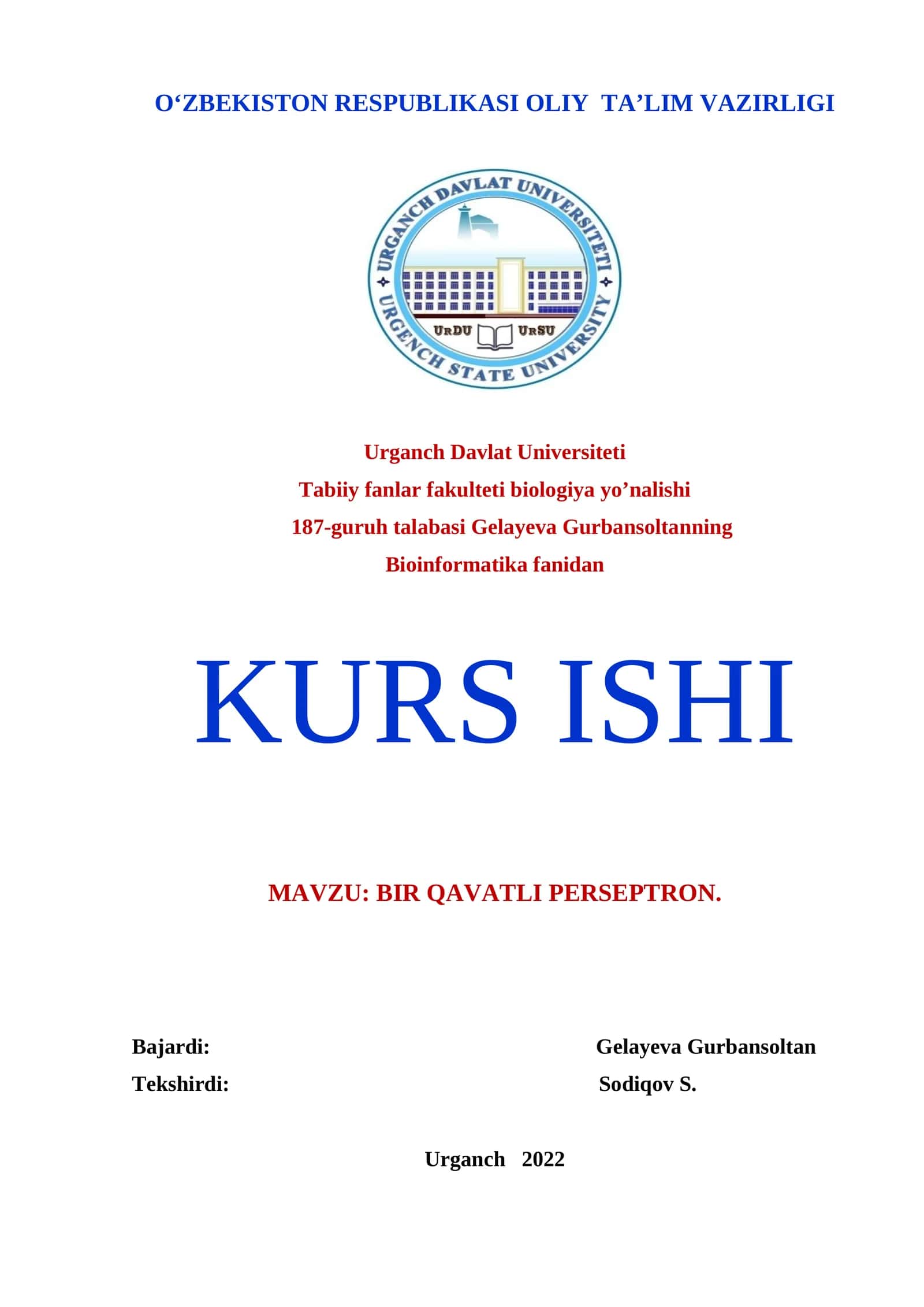 BIR QAVATLI PERSEPTRON 1