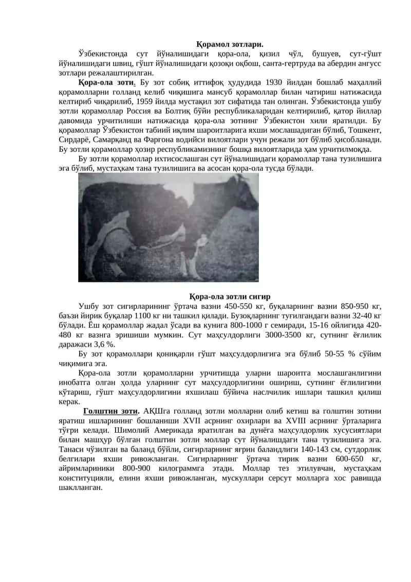 Қорамол зотлари 1