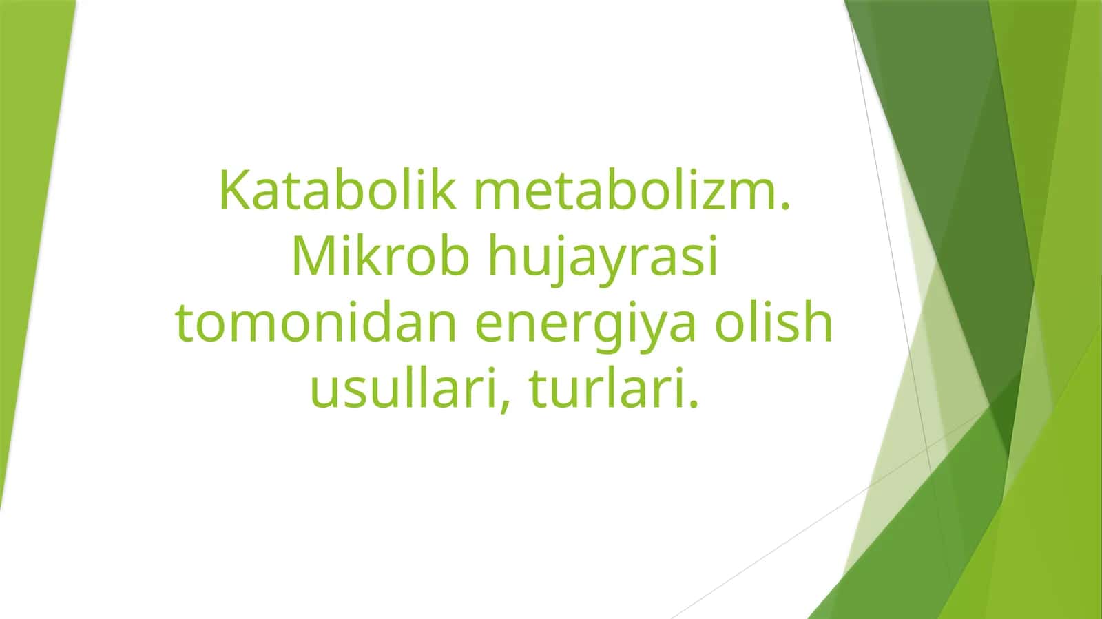 Katabolikmetabolizm 1