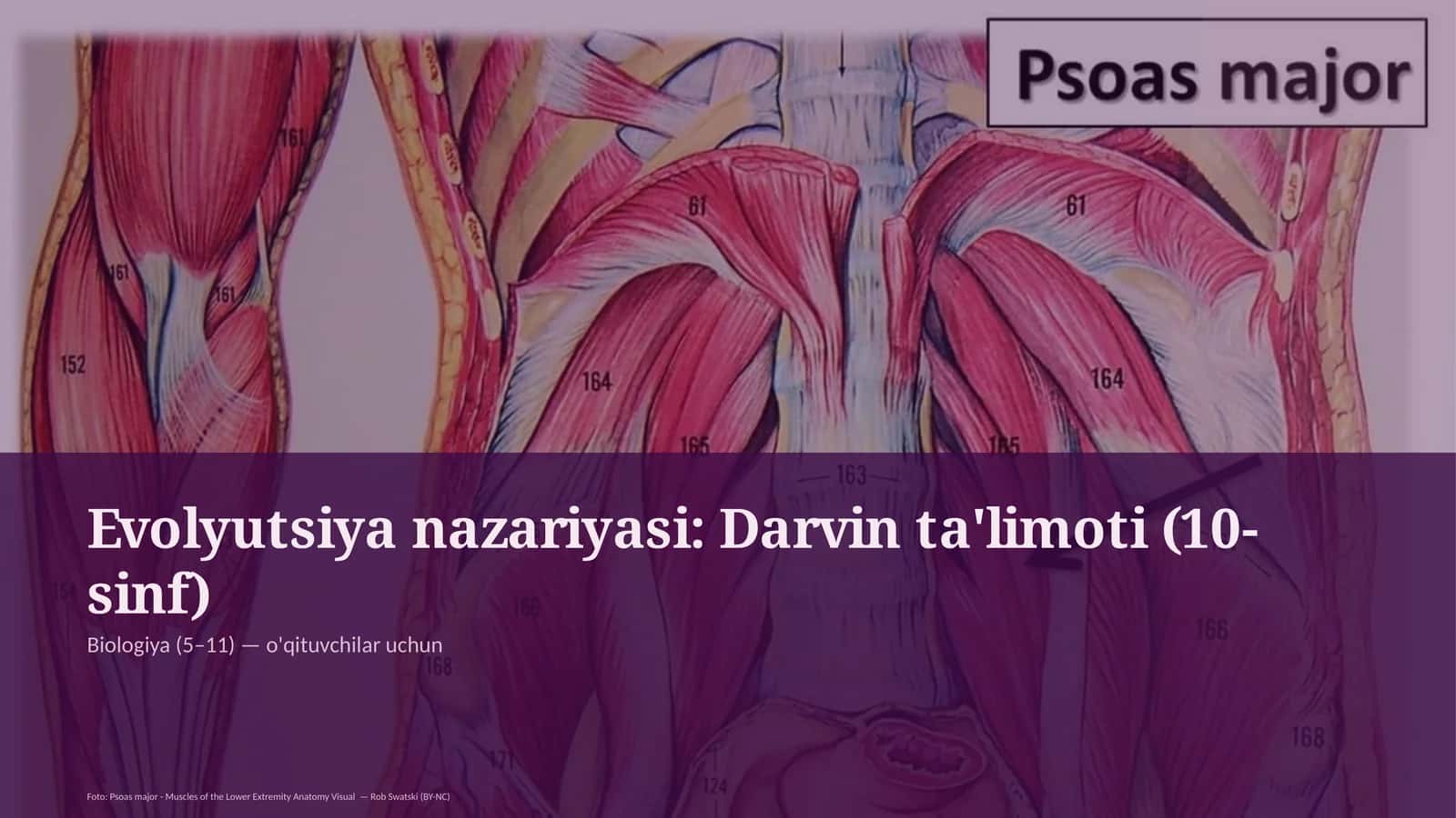 Evolyutsiya nazariyasi: Darvin ta'limoti (10-sinf) 1
