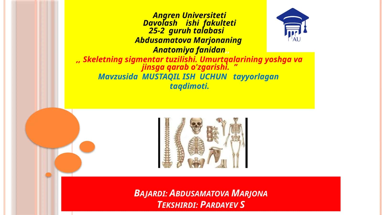 Umurtqa anatomiyasi 1
