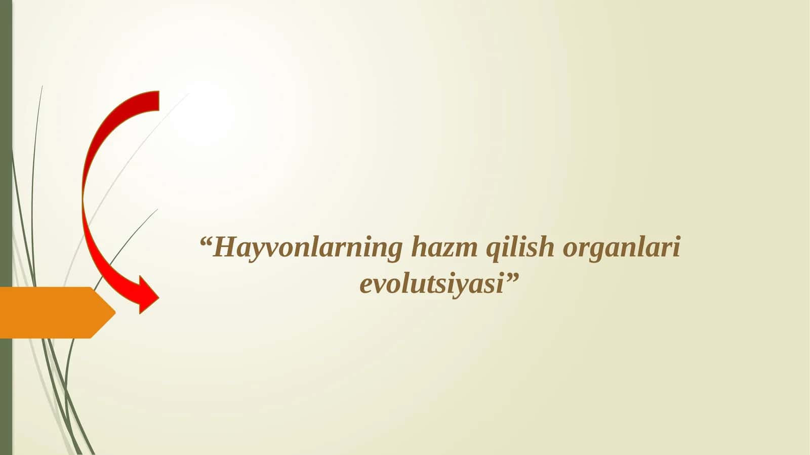 Hayvonlarning qon aylanish organlari evolutsiyasi 1