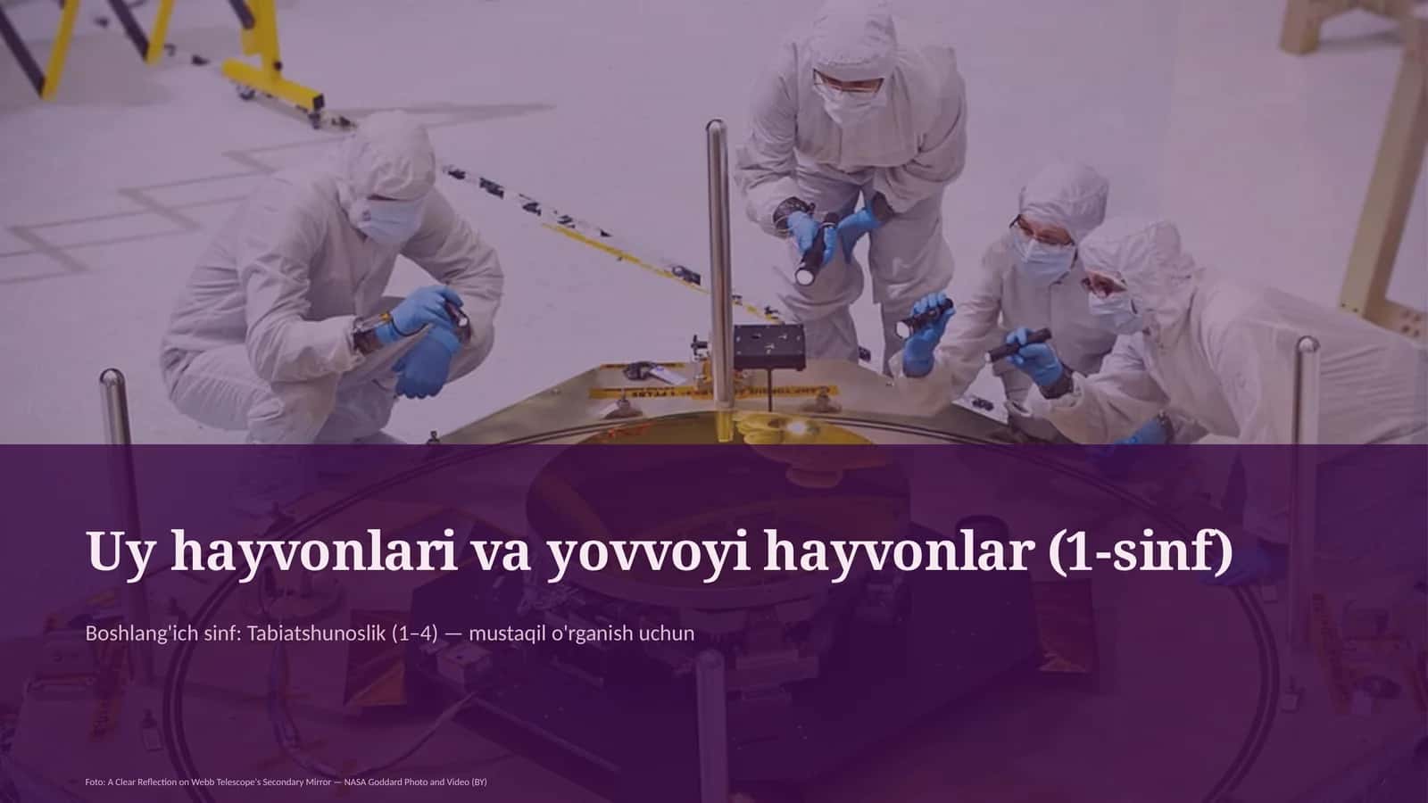 uy hayvonlari va yovvoyi hayvonlar 1 sinf 818 1