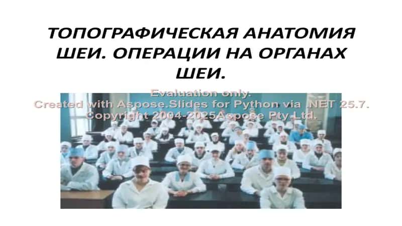 Топографическая анатомия шеи. Операции на органах шеи 1