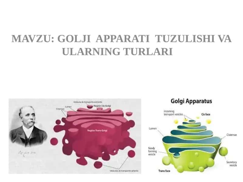 Golji Apparati Tuzulishi va Ularning Turlari 1