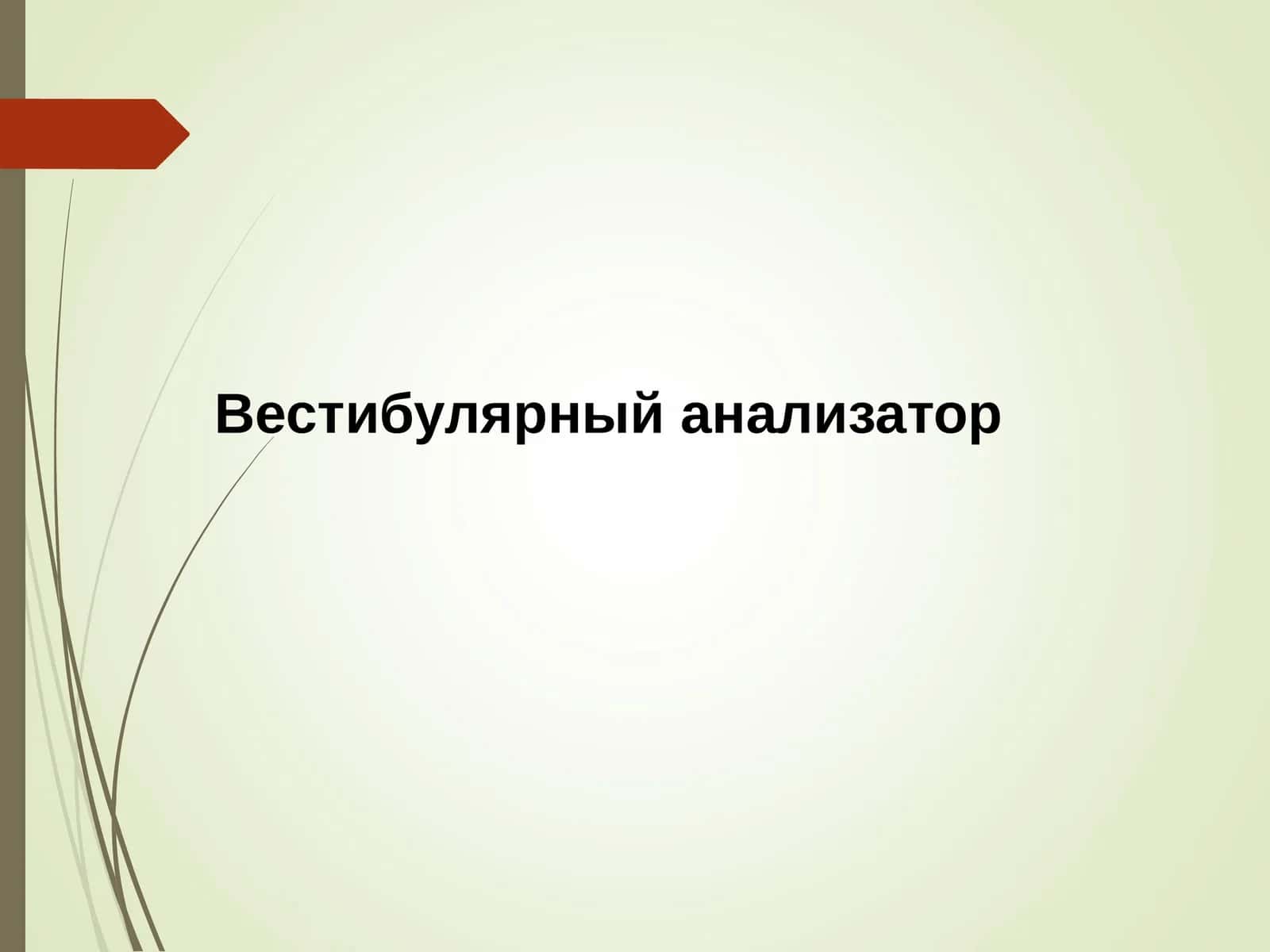 Вестибулярный анализатор 1