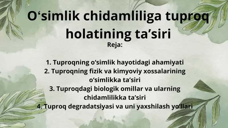 Oʻsimlik chidamliliga tuproq holatining taʼsiri 1
