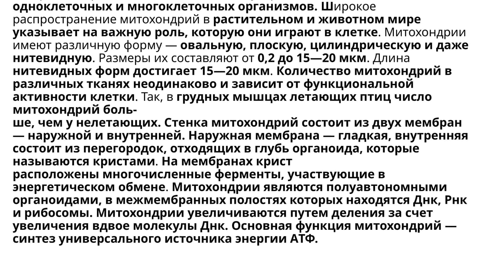 Митохондрии, пластиды, лизосомы и другие органоиды цитоплазмы 1