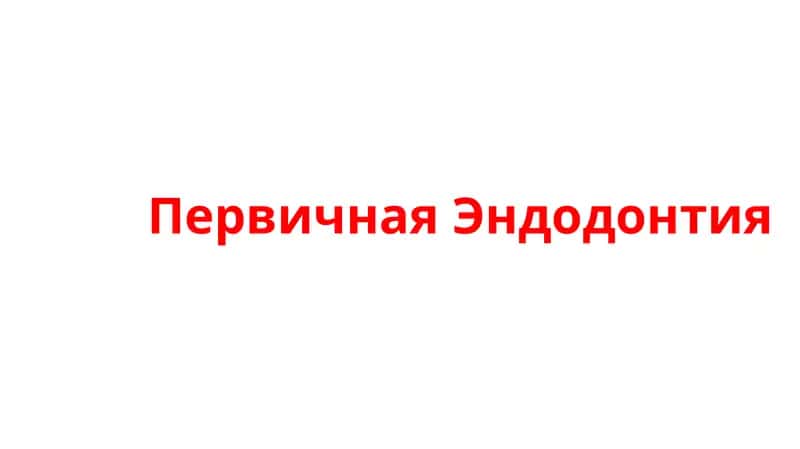 Первичная Эндодонтия 1